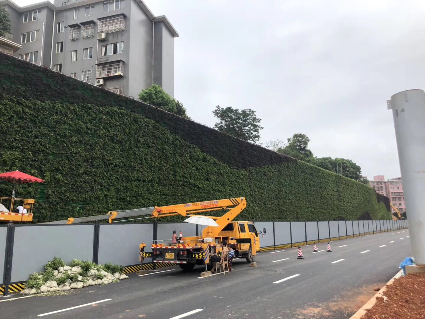 潇湘大道立体绿化植物墙