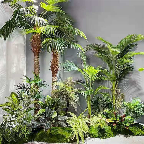 热带雨林植物造景