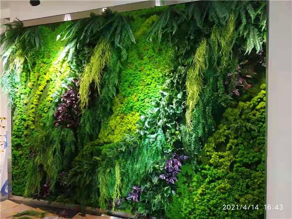 热带雨林风植物墙