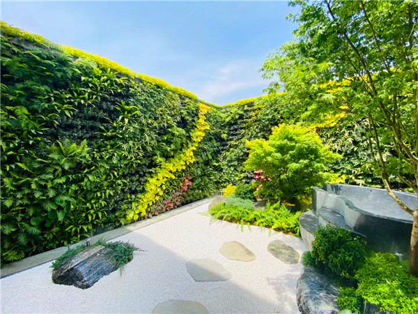 别墅庭院生态植物墙