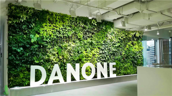 办公室生态植物墙