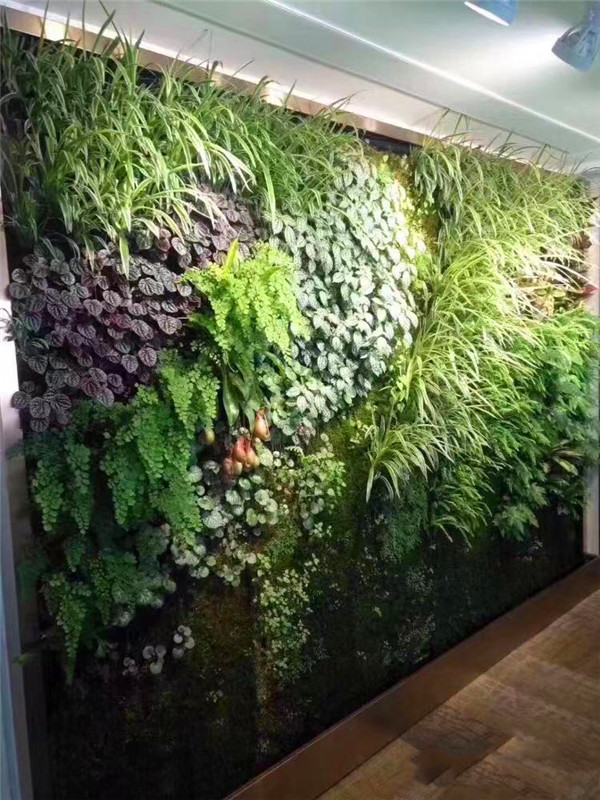 公司植物墙屏风