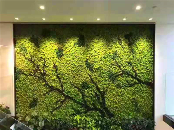 永生苔藓造型墙